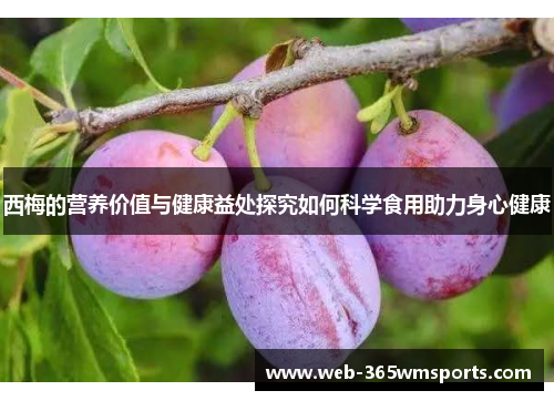 西梅的营养价值与健康益处探究如何科学食用助力身心健康