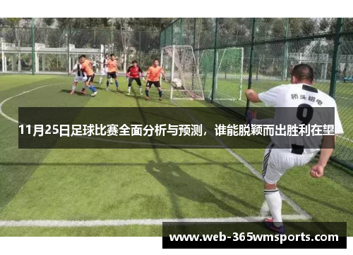 11月25日足球比赛全面分析与预测，谁能脱颖而出胜利在望