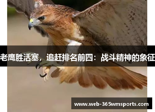 老鹰胜活塞，追赶排名前四：战斗精神的象征