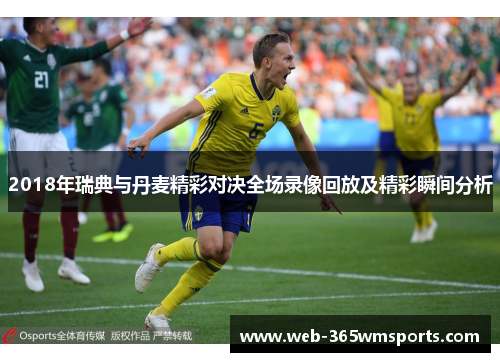2018年瑞典与丹麦精彩对决全场录像回放及精彩瞬间分析